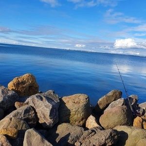 Meet your Posher, Reegan